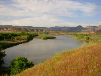 Morning on the River